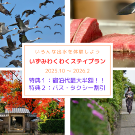 いずみわくわくステイプラン2025