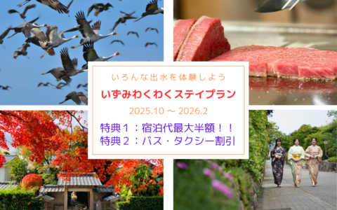 いずみわくわくステイプラン2025