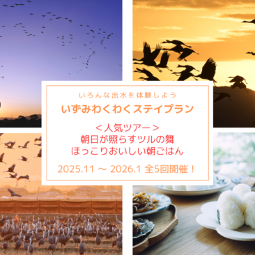 朝日が照らすツルの舞とほっこりおいしい朝ごはんの旅